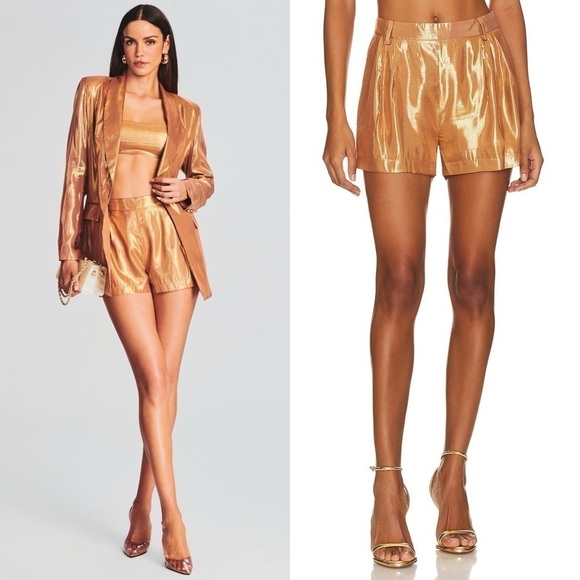 NWT RETROFETE Set Silk Metallic Chiffon High Waist Pleated Short & Bra Top XL - Picture 4 of 16